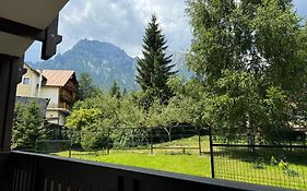 The View Apartment 3 Busteni